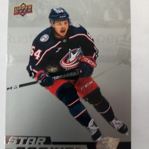 2022-23 nhl star rookie Trey Fix-Wolansky