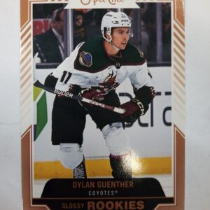 2022-2023 Upper Deck O-Pee-Chee Series 2 Glossy Rookies Dylan Guenther