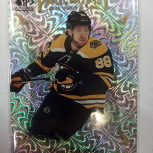 2021-2022 Upper Deck SP Authentic Pageantry David Pastrnak