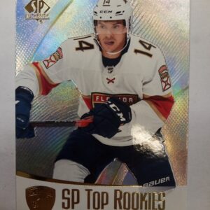 2021-2022 Upper Deck SP Authentic Top Rookies Grigori Denisenko