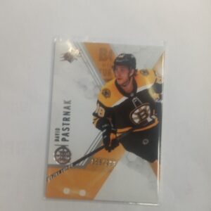 2021-22 UD spx David Pastrnak x/299