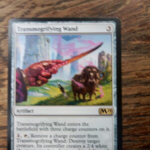 Transmogrifying Wand Core 2019