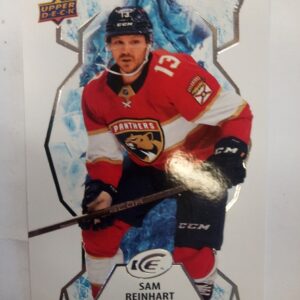 2021-2022 Upper Deck Ice Sam Reinhart