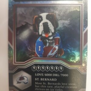 2021-22 MVP Mascots Bernie the St. Bernard