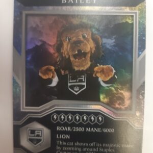 2021-22 MVP Mascots Bailey