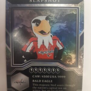 2021-22 MVP Mascots Slapshot