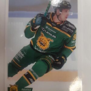 2022-23 Cardset Dominik Masin