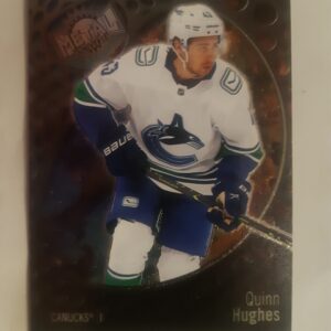 2022-23 SkyBox Metal Universe Quinn Hughes