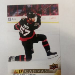 2022 UD extended series canvas Shane Pinto