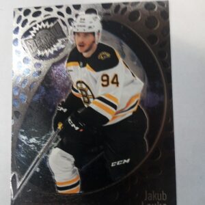 2022-23 UD metal universe skybox rookie Jakob Lauko