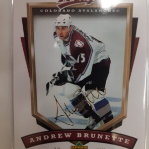 2006-07 MVP Gold Scirpts Andrew Brunette /100