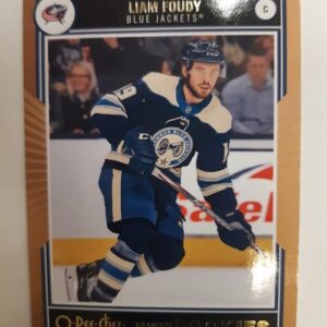 2020-21 Upper Deck Series 1 O-Pee-Chee Glossy Rookies GOLD Liam Foudy