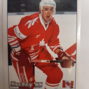 1995 Panini Pro Hockey Magazine Hockey 95 Stickers Yves Racine