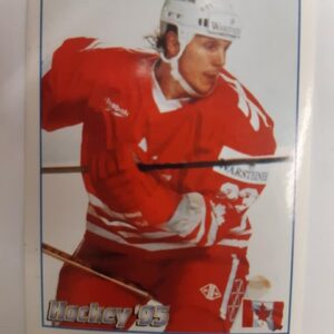 1995 Panini Pro Hockey Magazine Hockey 95 Stickers Steve Thomas