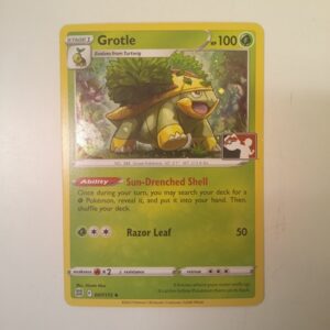 Grotle (PPS3 BRS 007)