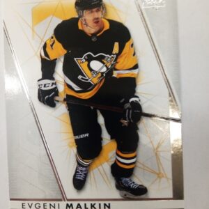 2022-23 UD SP Authentic Evgeni Malkin