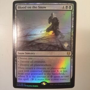MTG Blood on the Snow