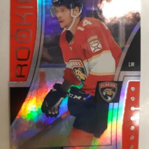2021-22 Upper Deck Synergy Rookie Grigori Denisenko