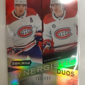 2022-23 Upper Deck Synergy /499 Synergistic Duos Nick Suzuki / Cole Caufield