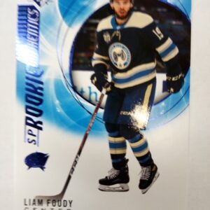 2020-2021 UD SP Rookie Authentics Liam Foudy