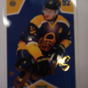 2023-2024 Cardset SM-Liiga Stars Sebastian Repo