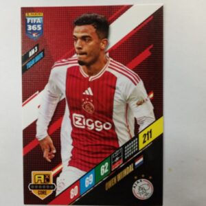 2024 fifa panini 365 adrenalyn Owen Windal
