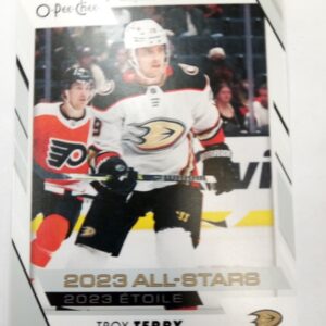 2023-2024 O-Pee-Chee 2023 All-Stars Troy Terry