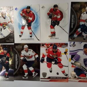 2020-2024 NHL Tiimisatsi: Florida Panthers