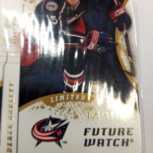 2008-2009 SP Authentic Limited Future Watch Derek Dorsett
