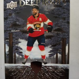 2023-2024 UD Deep Roots Aaron Ekblad