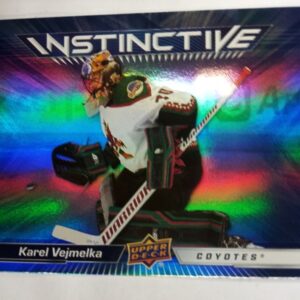 2023-2024 UD Instinctive Karsi Vejmelka