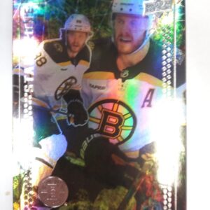 2023-2024 Upper Deck Series 1 Star Zone David Pastrnak