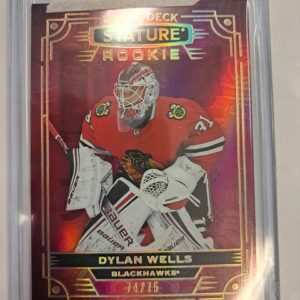 2022-23 Stature Rookie /75 Dylan Wells