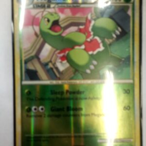 Meganium (CL 27)