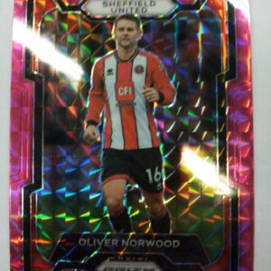 2023-24 Panini prizm Oliver Norwood