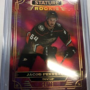 2022-2023 Upper Deck Stature Rookie Jacob Perreault /75