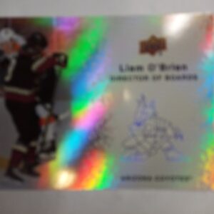 2023-24 Upper Deck Series 2 Director of Boards Liam O'Brien