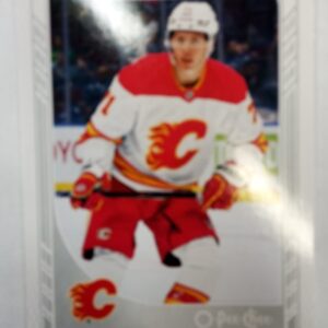 2023-24 O-Pee-Chee Series 2 Glossy Walker Duehr