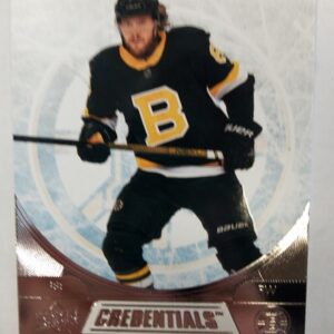 2021-2022 Upper Deck Credentials David Pastrnak