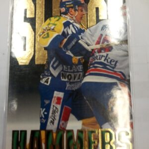 1998-99 Cardset Gifu SM-Liiga Sledge Hammers Joni Lehto