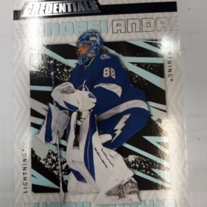 2023-2024 UD Credentials Andrei Vasilevsky