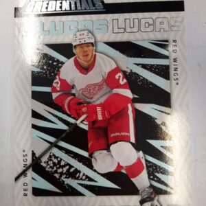 2023-2024 UD Credentials Lucas Raymono