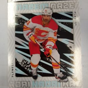 2023-2024 UD Credentials Nazem Hadri