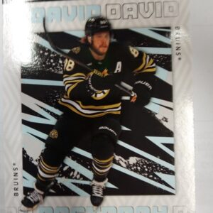 2023-2024 UD Credentials David Pastrnak