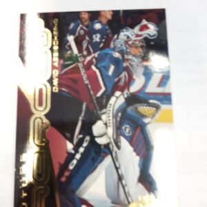 2001-2002 Upper Deck Future Heroes David Aebischer