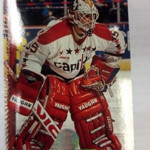 1994-95 Donruss the Leaf Series Byron Dafoe