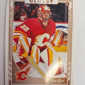 2023-24 O-Pee-Chee Glossy Dustin Wolf
