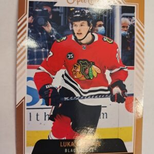2023-24 O-Pee-Chee Glossy Rookies Lukas Reichel