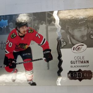 2023-24 UD ICE Rookie Cole Guttman