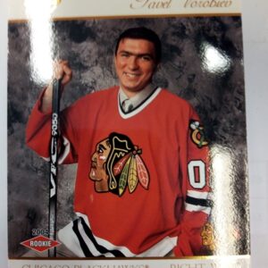 2002-03 PTC 2004 Supreme Hockey Pavel Vorobiev